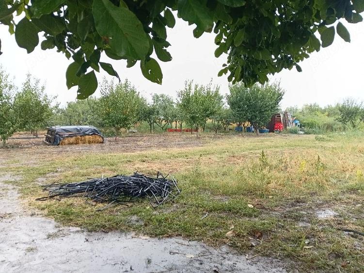 Teren de 1000 mp, în Gheorghe Lazăr