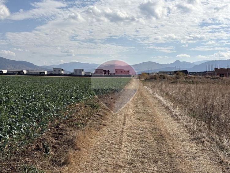 Teren agricol intravilan de 52410 mp, în Tărlungeni