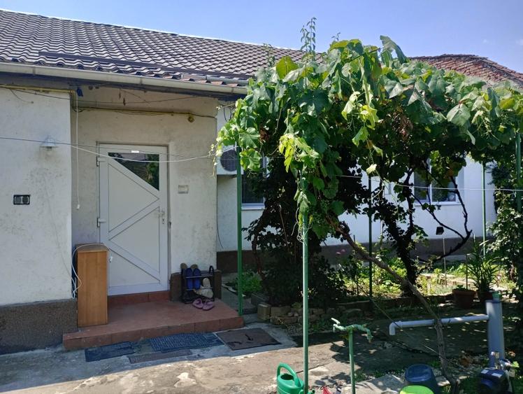 Apartament 4 camere curte comuna Iosefin - 5