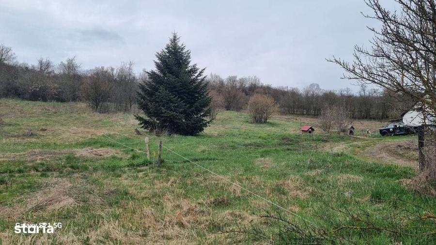 Teren Intravilan 1000 mp.utilitati langa teren,Targu Mures - 7