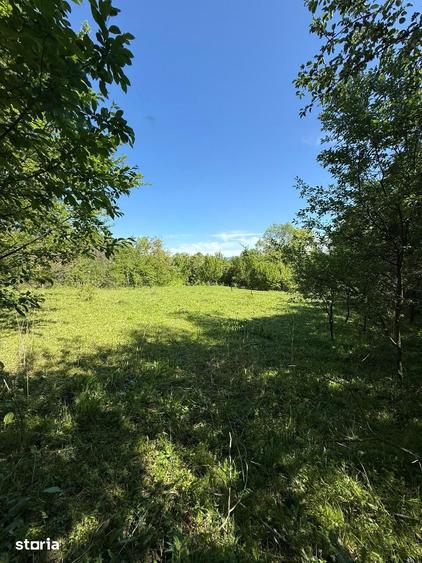 Teren de 3429 mp, în Poiana