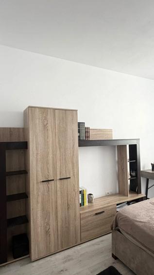 Apartament cu 2 camere decomandat în Ampoi 3