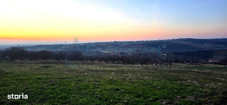 Teren intravilan de 3650 mp in Oradea, zona Sofiei,Gaminvest,V4574 - 3