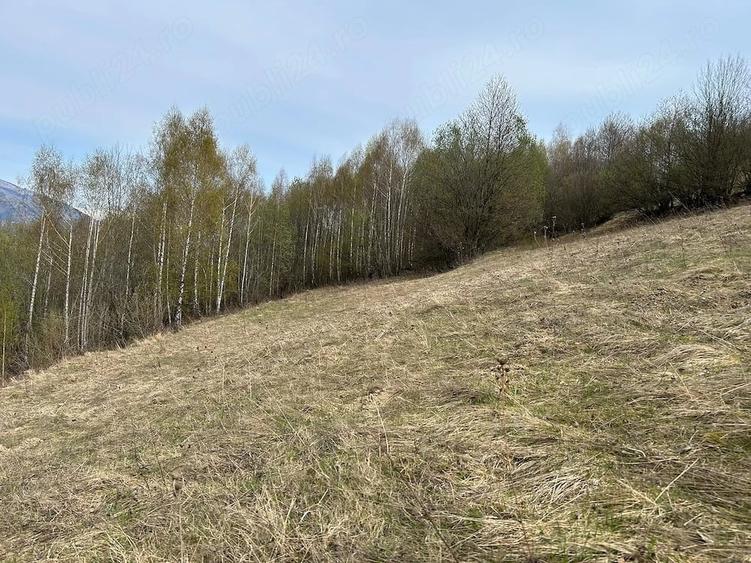 Teren extravilan Sangeorz bai(Delusel), 1.18ha - 3