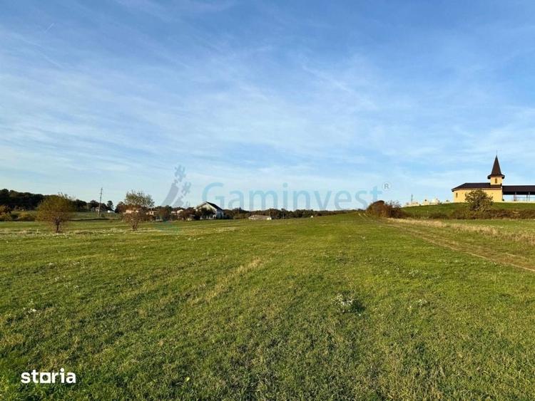 Teren de vanzare in Betfia, 5487 mp intravilan, Bihor, Gaminvest-V4571 - 6