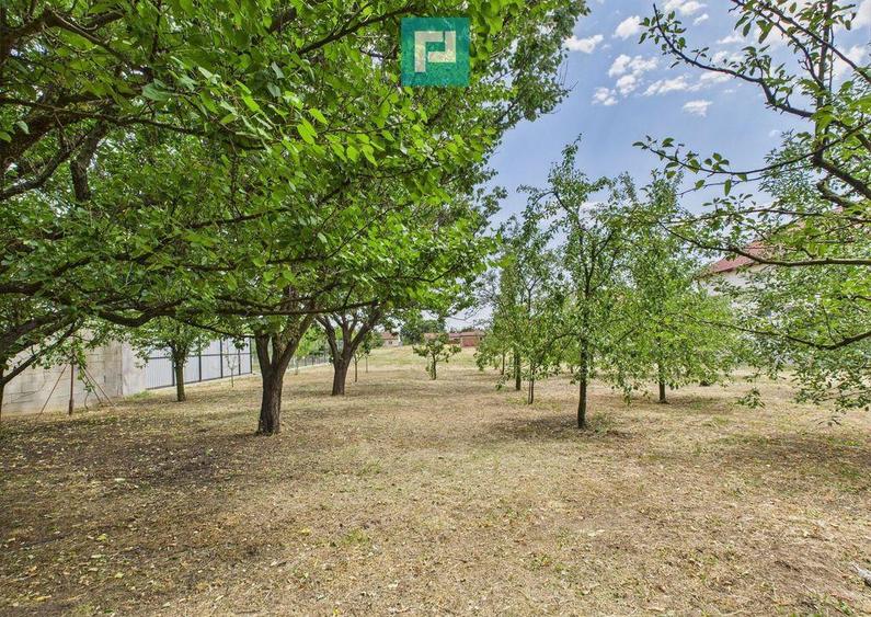 Casa, Com.Irato?u. Jud.Arad - 13