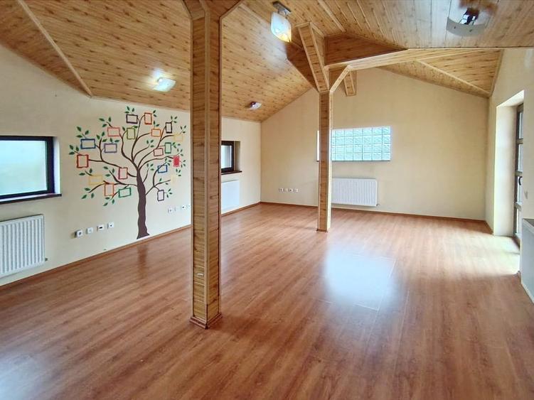 Vilă 240 mp – ideală firmă / educațional / clinică - 13