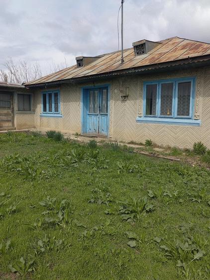 Vand casa batranessca - 1