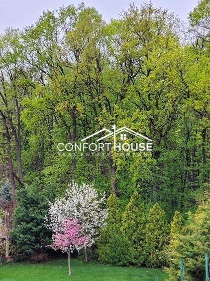 VILA D+P+E+M, 12 camere, piscina , padure, IANCU NICOLAE - 34