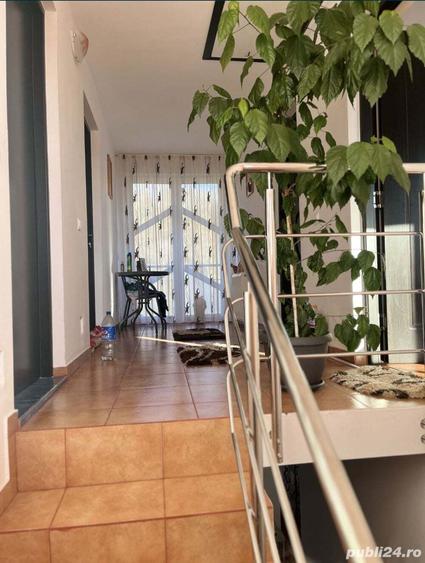 Casa Valea Marului - 4