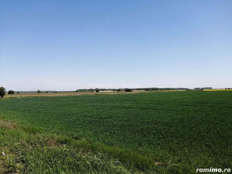 Teren intravilan 5114 mp in comuna 1 Decembrie - Ilfov