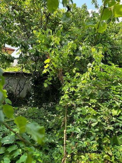 Otopeni Oituz teren 1000 mp deschidere 14 ml utilitati langa teren - 6