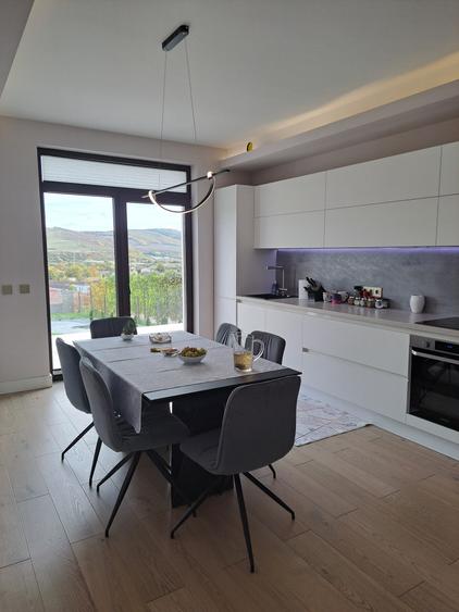 VILA NOUA,MODERNA CU 2100 METRI PATRATI TEREN-VIISOARA - 5