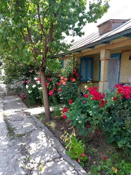 Vand casa la rosu si teren T.Vladimirescu,Galati - 8