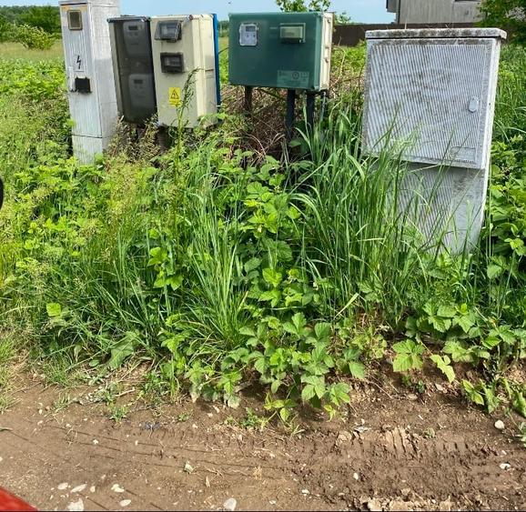 TereCiofliceni 5690 mp.Deschidere de 50m. - 10