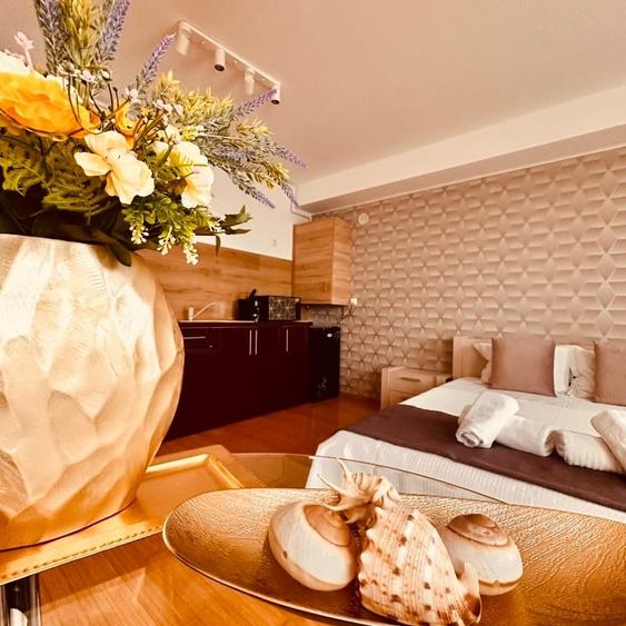 Garsoniera spatioasa in Mamaia de inchiriat - 1