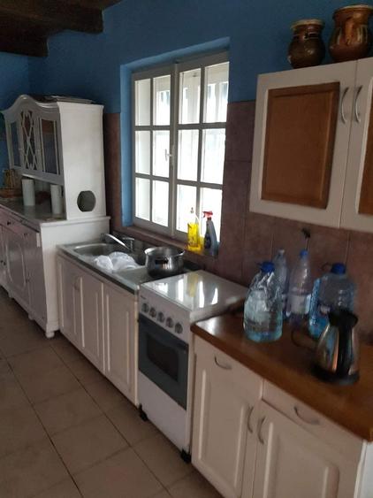 Vila cu 6 camere + 2 case + bazin inot+ 5.934 mp teren  com. Chichis - 19