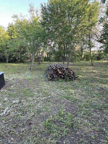 Domeniu 12.000 mp + casa | 37 km Bucure?ti | ideal investi?ie parcelare - 4