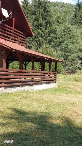 Vand teren Valea Ilvei - Lunca Bradului Parcul National Calimani - 4