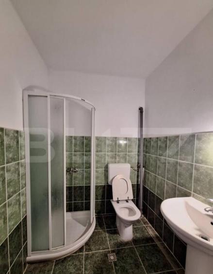 Vila, cazare muncitori, 11-15 camere, 600 mp, zona Mehala-Ti - 6