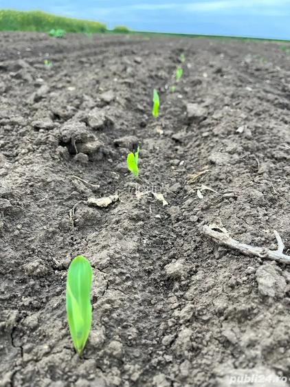 Arendez teren agricol Arendez teren agricol