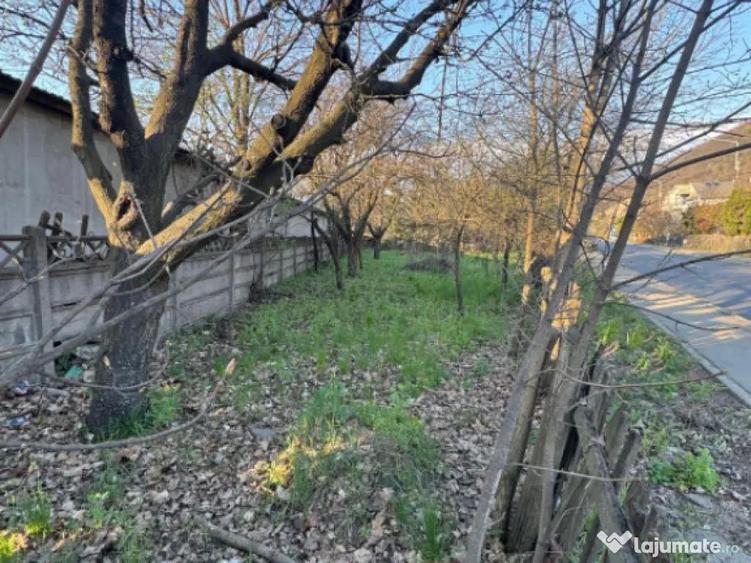 Teren 7 ari str. 8 Martie, PUZ aprobat, utilita?i, 40.000? - 1