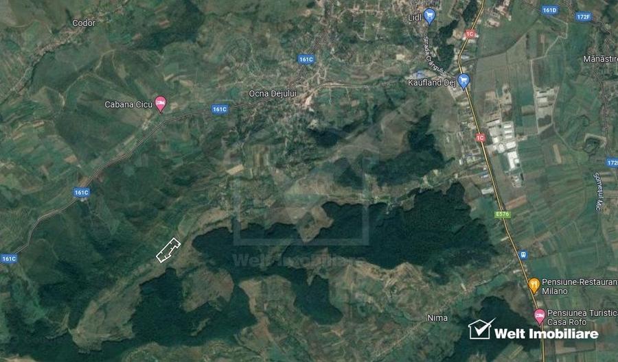 Teren extravilan, Valea Chiejdului, 5 ha, expunere S-E - 3