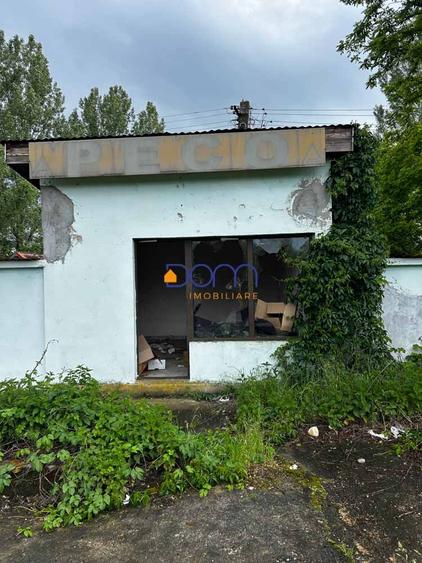 Teren industrial sau comercial 3000 mp Zagujeni - 2