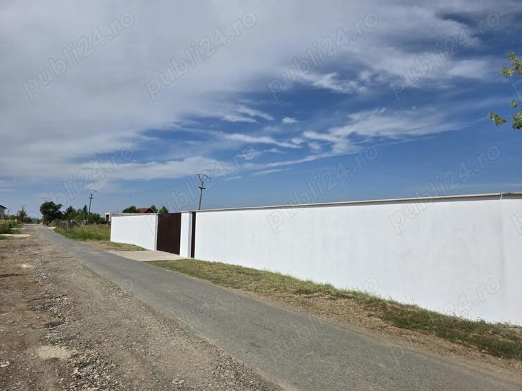 Teren de inchiriat 5000 mp Ciofliceni-Snagov -deschidere lac 36 mp - 3