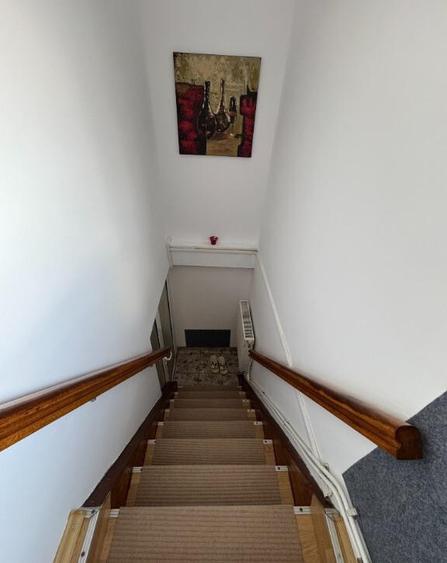 Vand vila in Roman zona buna - 5