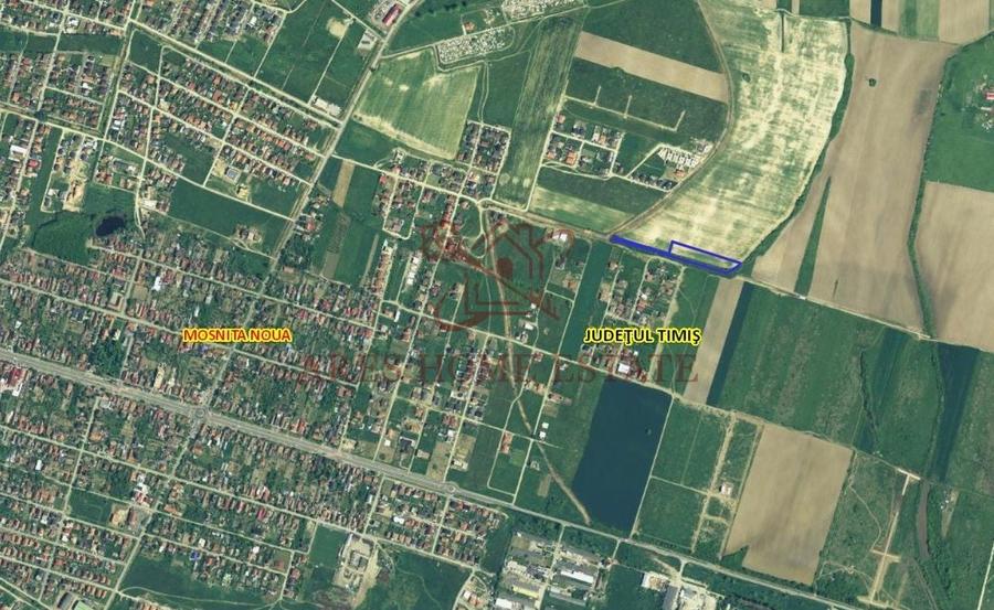 Teren parcelabil cu toate utilitatile 7.257 mp Moșnița Nouă – 20 €/mp - 5