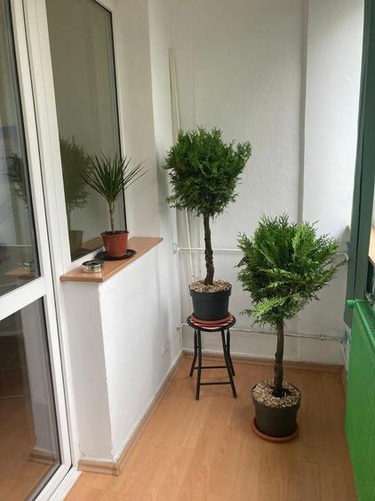 Titan, Lucretiu Patrascanu, stradal, 5 min. de metrou Costin Georgian mob - 4