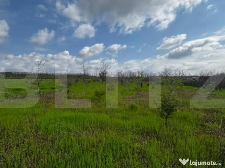 Teren intravilan 990 mp, front 33 ml, zona platou Carcea - 1