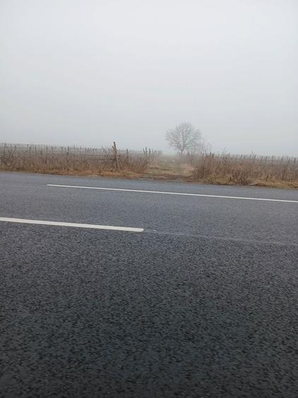 Vand teren la soseaua nationala E85 Dumbraveni - 4