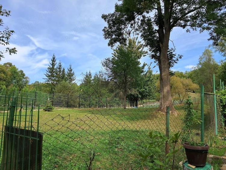 Teren intravilan de vanzare Provita de jos - 1