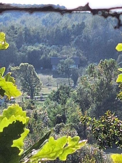 De vanzare teren cu casa in dorgos. Jud arad. - 3