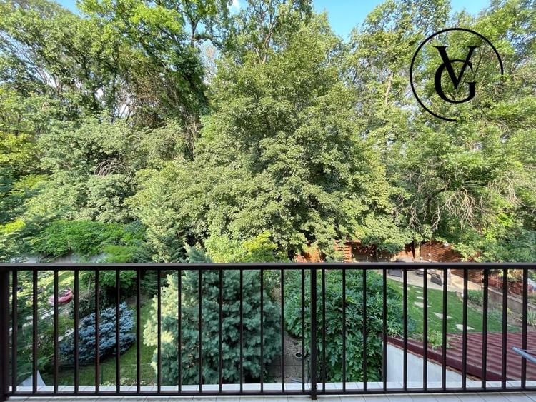 Vila de Vanzare Padurea Baneasa - 17