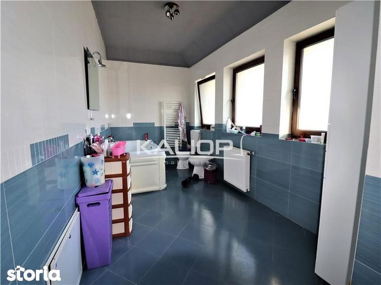 Casa individuala | 8 camere | 1200 mp | Piscina | Crama | Garaj | Fage - 14