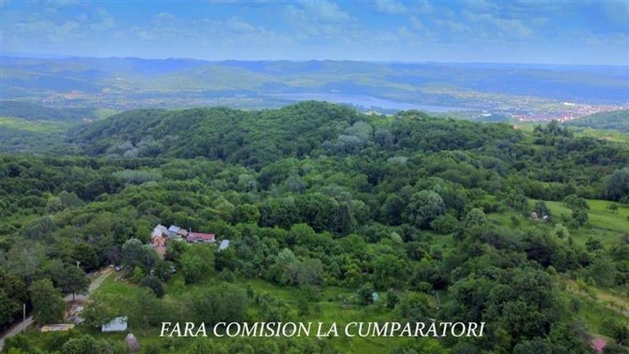 DEALUL MALULUI, TEREN 1500 MP INCONJURAT DE PADURE - 9