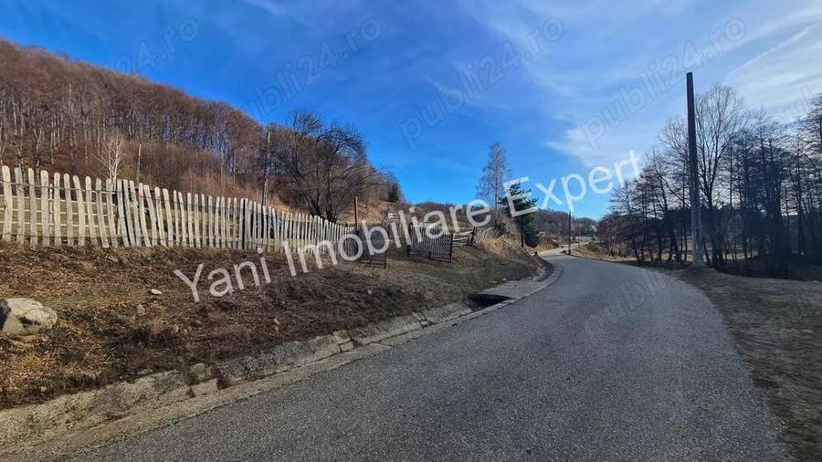 Teren de vanzare in comuna Cicane?ti, Jude? Arge?. - 18