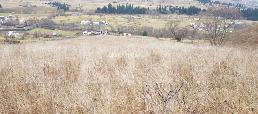 Teren ?aru Dornei 5 hectare