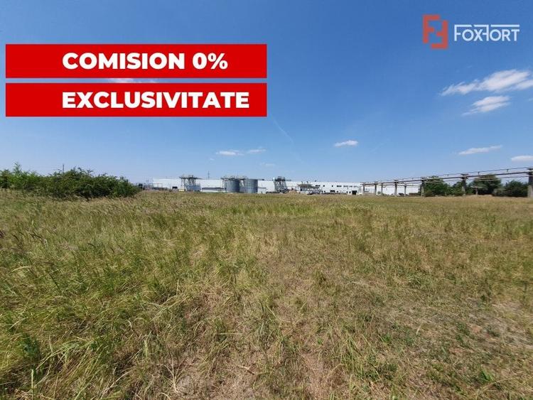 COMISION 0% Teren de vanzare intravilan de 5000 mp in zona Sagului - 11