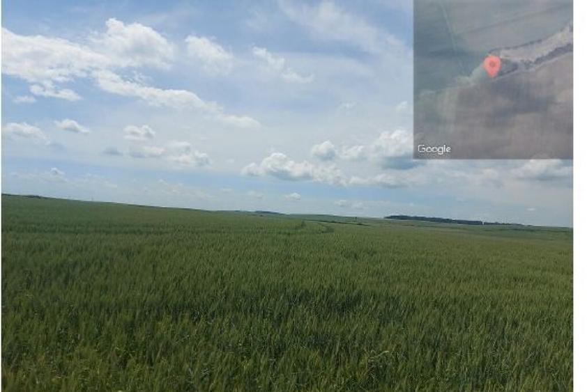 Teren extravilan 5000 mp Loc Plesoiu, Jud Olt - 5