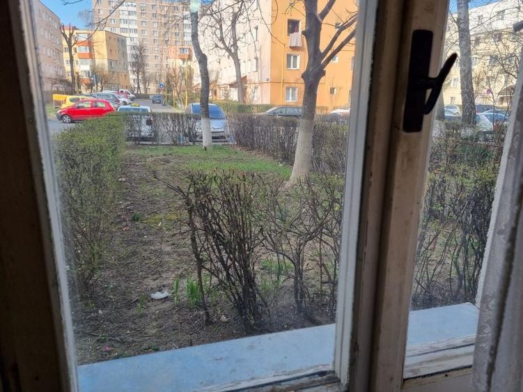 Particular vand camera Florilor - 2