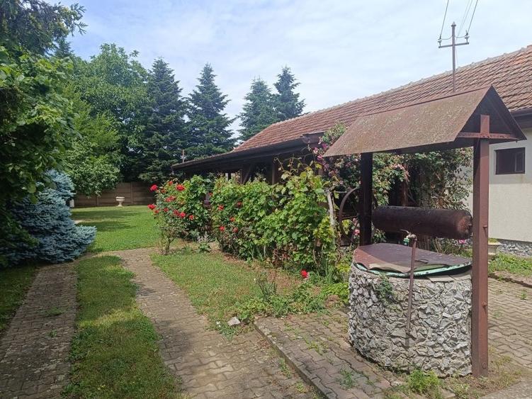 Casa Santaul Mare nr51 - 1