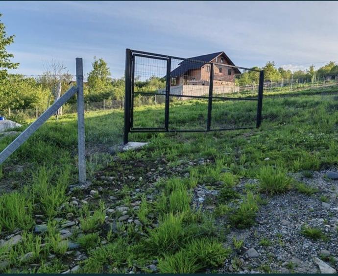 Teren extravilan 10 arii (1000 mp) Bistrita , Dealul Targului - 1