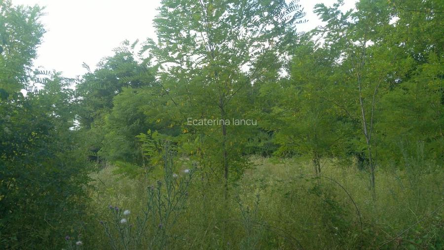 Teren agricol intravilan de 780 mp, în Mocești