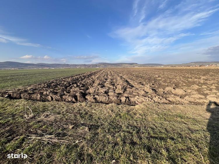 Vanzare Teren Extravilan Comuna Cristian, Zona La Sere - 2