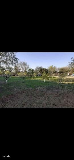 Proprietate mare 2529 mp casa si anexe - 7