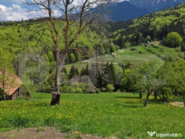 Teren intravilan 3400 mp, in Balaban - Simon, Bran - Brasov - 2